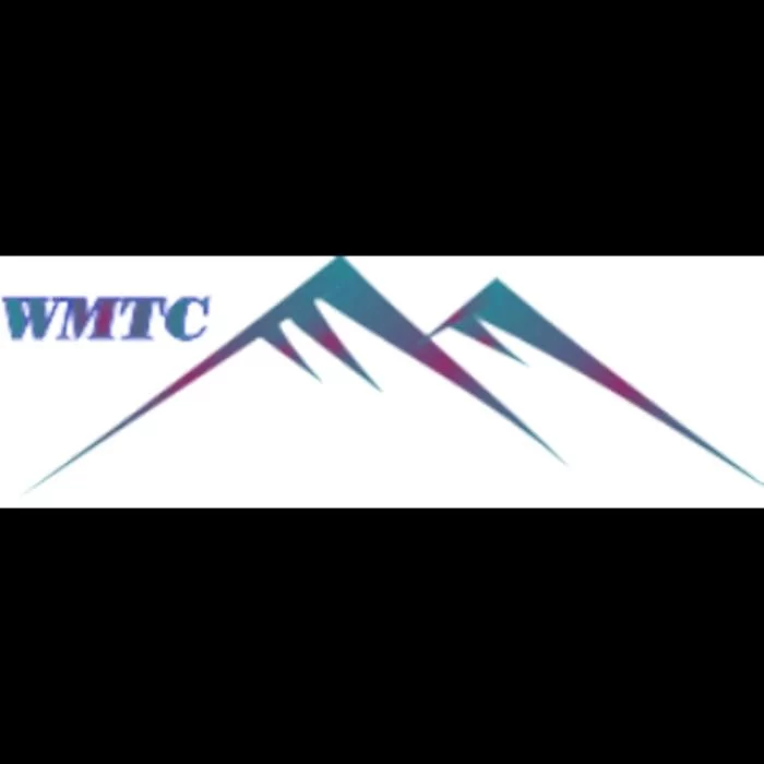 White Mountain Technology & Consulting, LLC 0