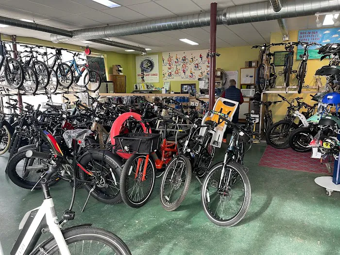 Spice eBikes 7