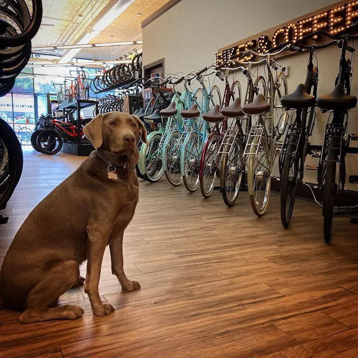 Longmont Bicycle Company & Front Range eBikes 3