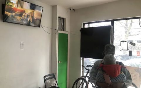 Ozo Geeks - Mobile Laptop & Macbook Repair Service Store