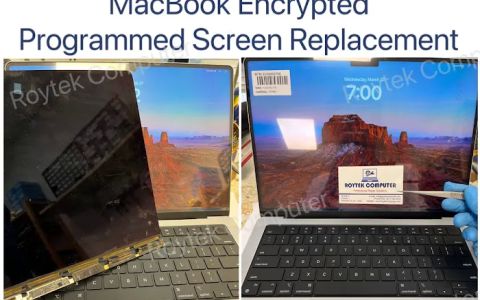 Roytek Computer(Mac and PC Repair Services)