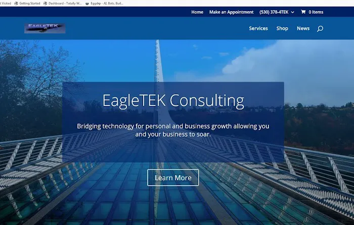 EagleTEK Consulting 1