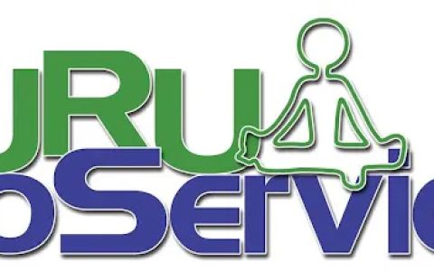 Guru Pro Services