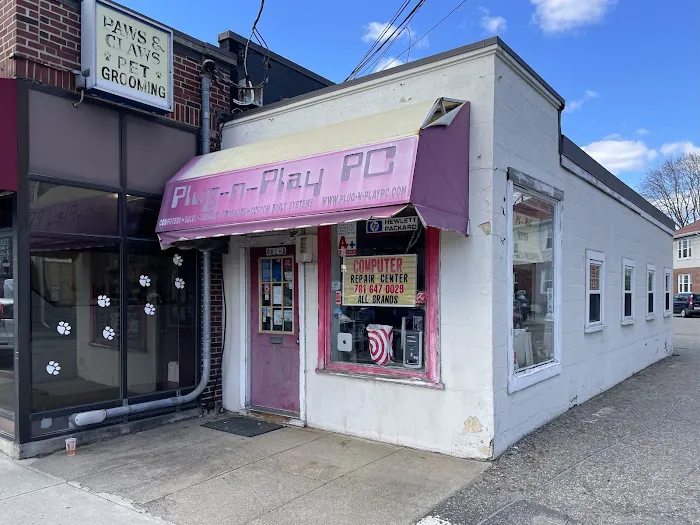 Plug-n-Play PC & Mac Repair Consultants 5