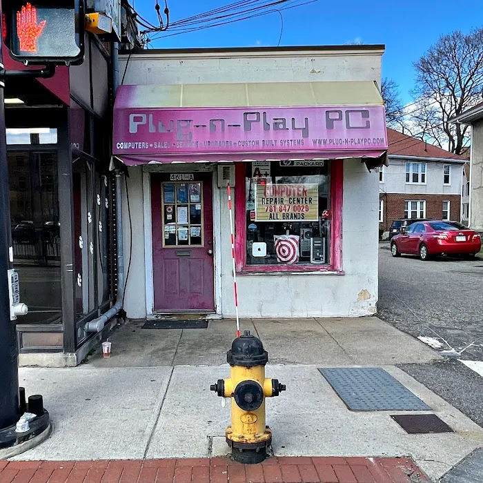 Plug-n-Play PC & Mac Repair Consultants 6