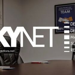 Skynet Solutions Inc ico